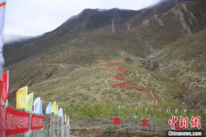 圖為拉薩南北山綠化工程拉薩曲水縣才納村5號片區(qū)。　貢確 攝