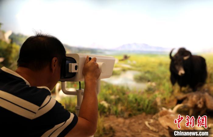 圖為臺(tái)商觀看祁連山國家公園生態(tài)科普館內(nèi)生態(tài)場景?！⊙Φ?攝