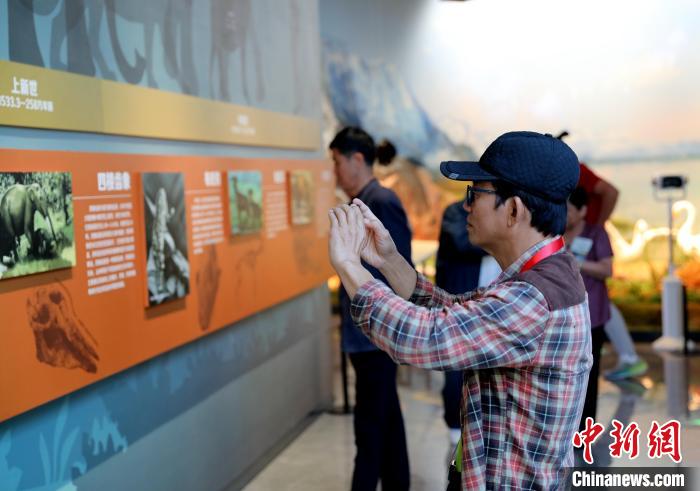 圖為臺(tái)商在祁連山國家公園生態(tài)科普館觀看墻面藝術(shù)圖文?！⊙Φ?攝