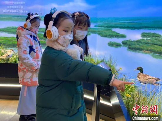 圖為學(xué)生在西寧市第一中學(xué)濕地科普宣教館內(nèi)參觀。　李江寧 攝