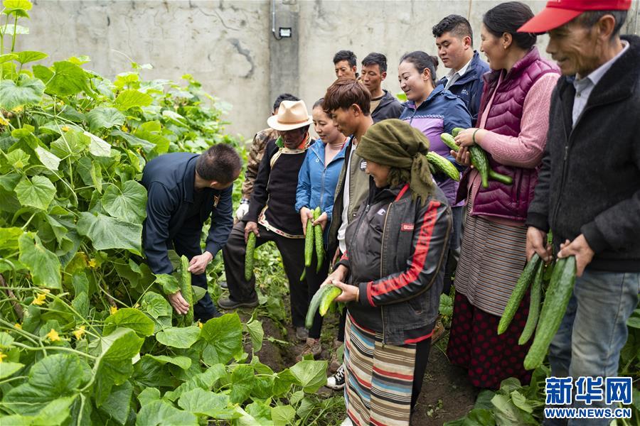 （新華全媒頭條·走向我們的小康生活·圖文互動(dòng)）（9）扎西德勒，我們的新家園——西藏易地扶貧搬遷搬出幸福美好新生活