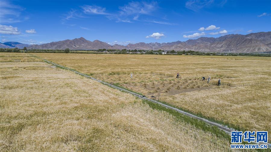 （新華全媒頭條·走向我們的小康生活·圖文互動(dòng)）（11）扎西德勒，我們的新家園——西藏易地扶貧搬遷搬出幸福美好新生活