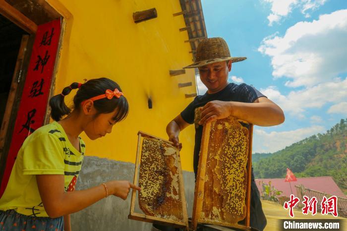 “甜蜜產(chǎn)業(yè)”讓全村致富有奔頭。洲湖鎮(zhèn)供圖