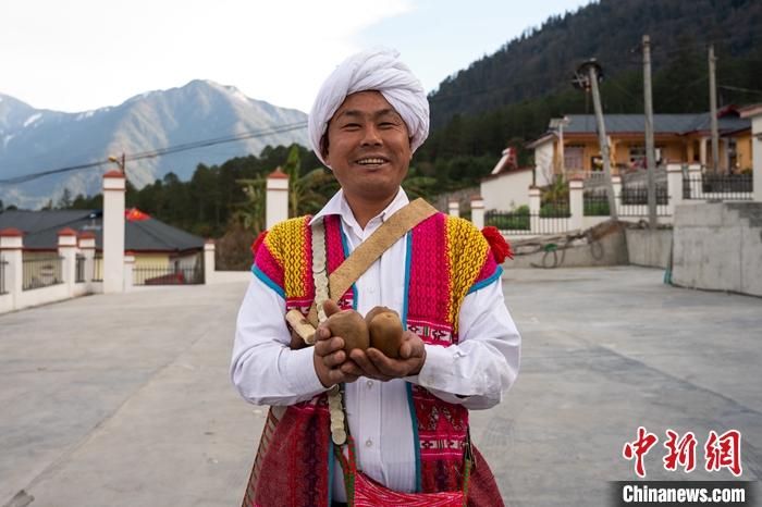 1月29日，京都村委會(huì)主任阿胖正在展示該村種植的獼猴桃。<a target='_blank' ><p  align=