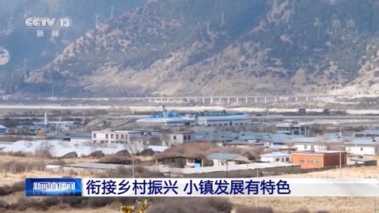 種蘑菇、養(yǎng)駱駝...。。特色產(chǎn)業(yè)助力鄉(xiāng)村振興走新路