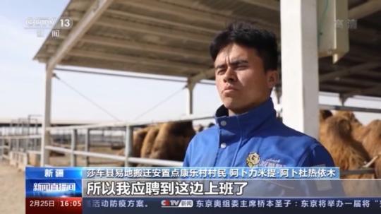 種蘑菇、養(yǎng)駱駝...。。特色產(chǎn)業(yè)助力鄉(xiāng)村振興走新路