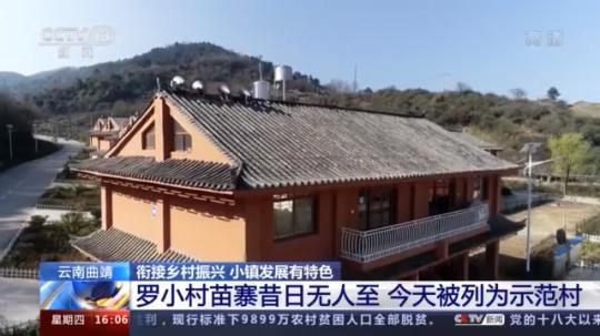 種蘑菇、養(yǎng)駱駝...。。特色產(chǎn)業(yè)助力鄉(xiāng)村振興走新路