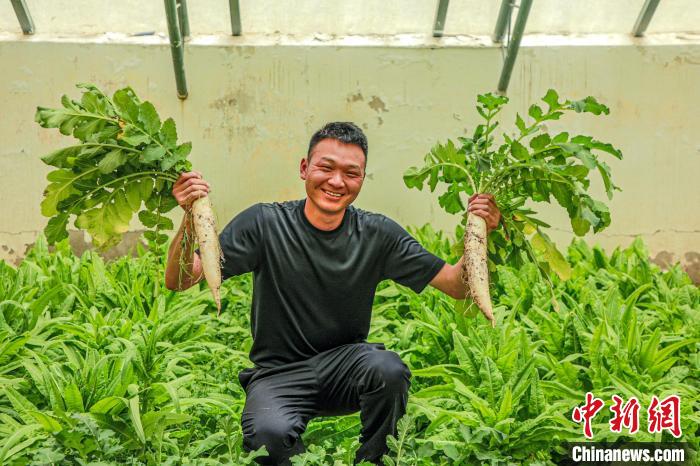 西藏阿里門士邊境派出所民警兼職大棚種植、豐富牧民餐桌