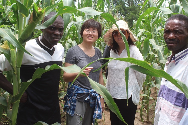 資訊有故事丨小豆子大營(yíng)養(yǎng) 坦桑尼亞民眾愛上“中國(guó)飲料”