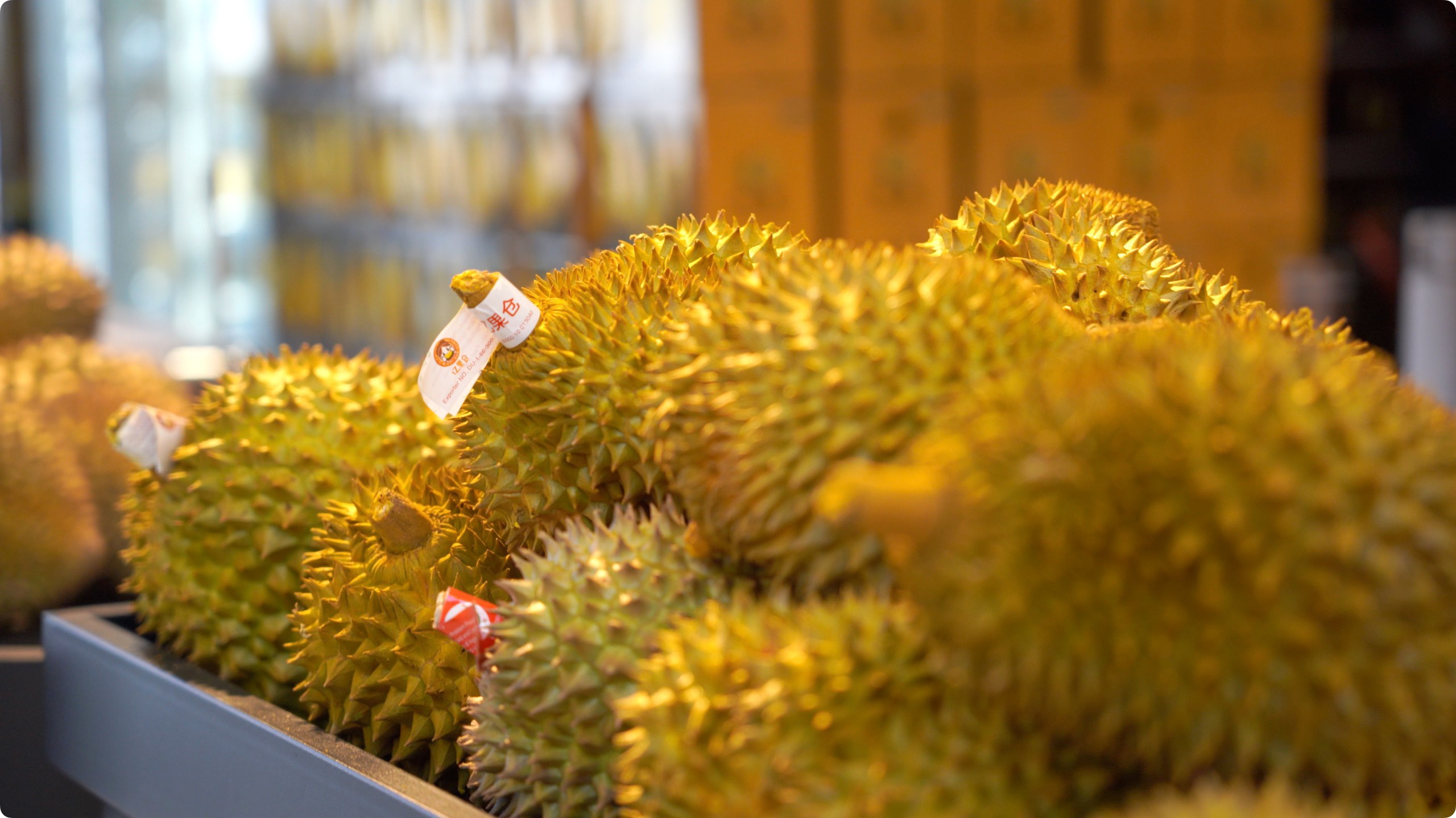 5月初，人民網(wǎng)記者申佳平攝