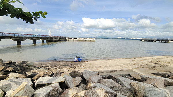 深圳紅樹林灘涂，留給了孩子們親近自然的空間。人民網(wǎng)記者 李彤攝