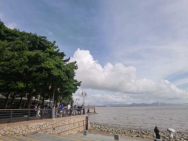 紅樹林灘涂沿線一角。人民網(wǎng)記者 張素玲攝