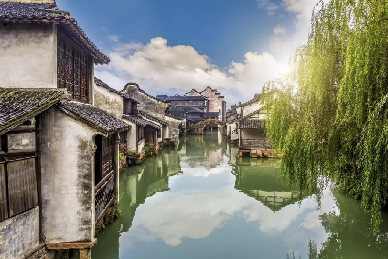 烏鎮(zhèn)動(dòng)觀察｜這個(gè)字，牽起國際交流互鑒之紐帶