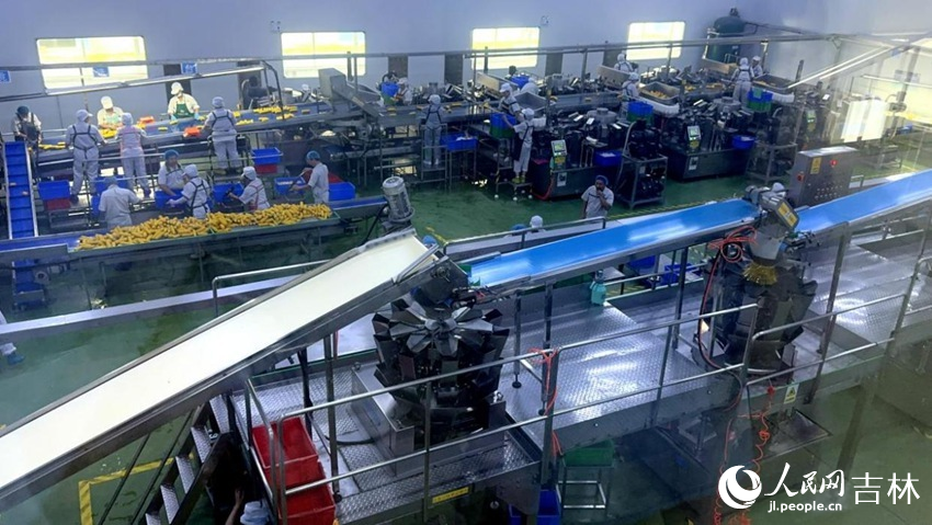 吉林省農嫂食品有限公司生產車間內一片火熱。人民網記者 王海躍攝