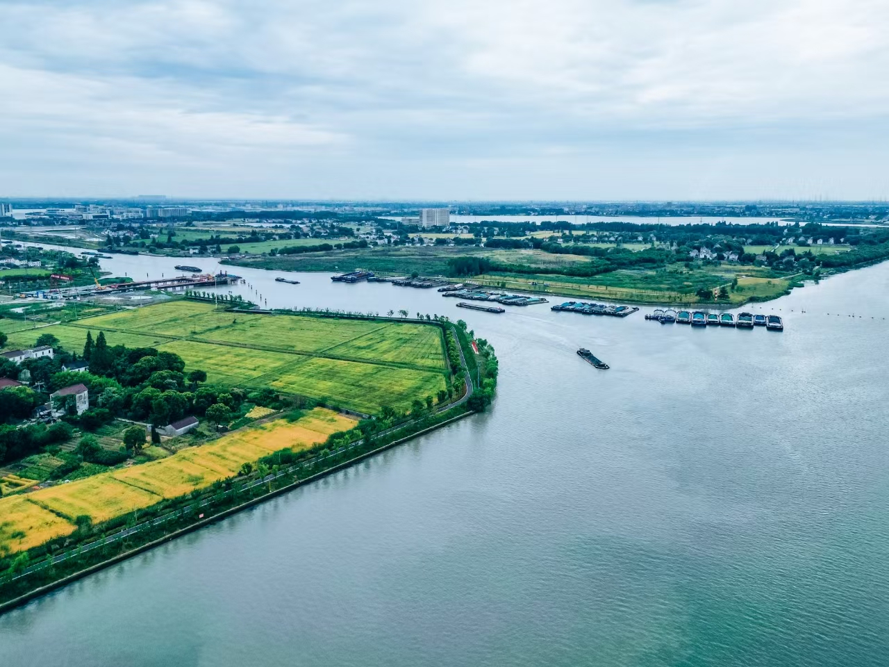 太浦河沿岸好風(fēng)光。吳橫軒攝