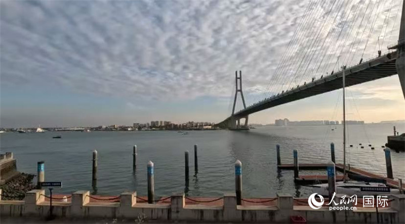 海南省儋州市洋浦大橋。人民網(wǎng) 薩拉·阿芙澤爾攝