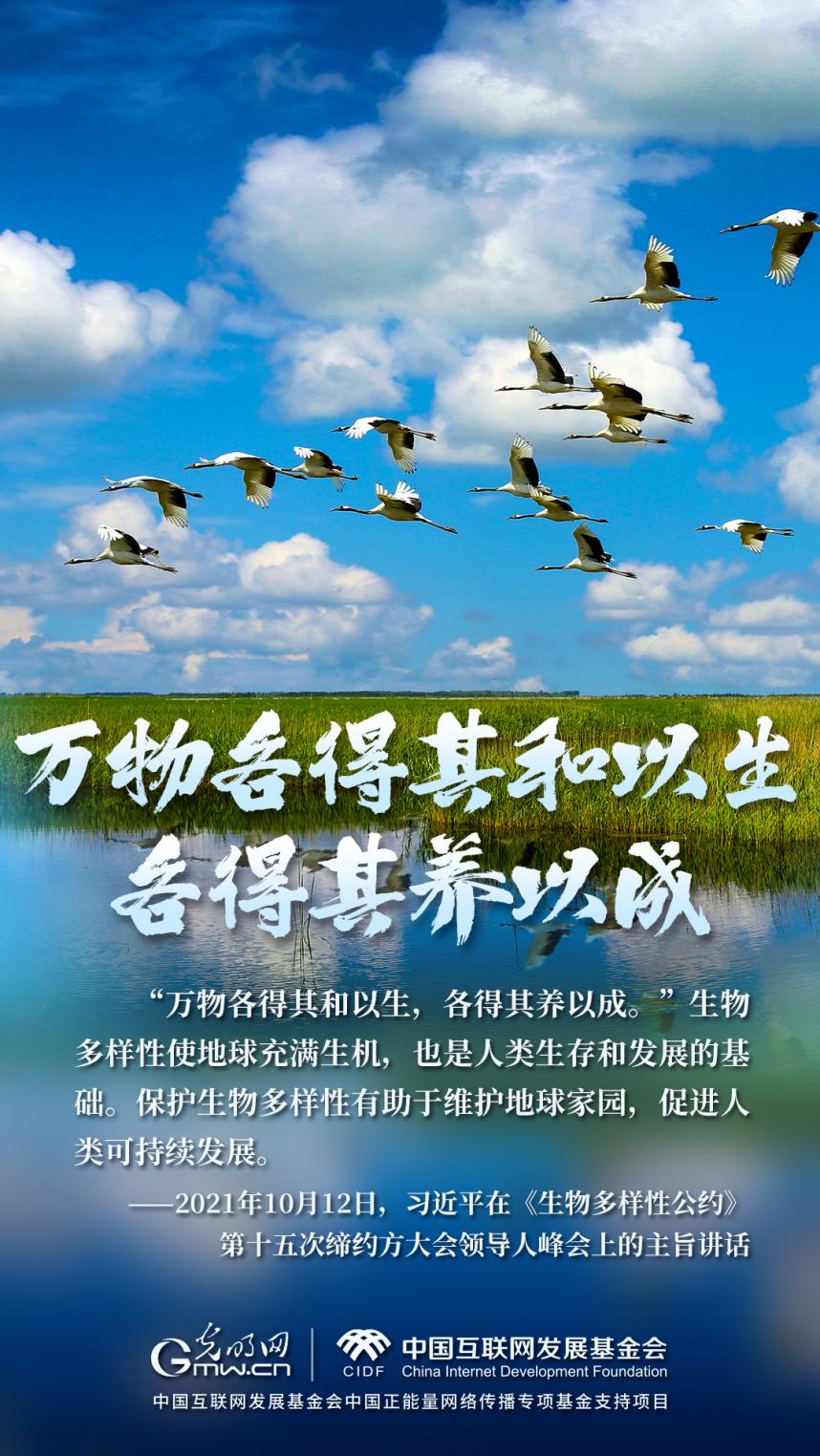 “兩山”理念與美麗中國丨濕地與候鳥，一場歲歲年年的相守