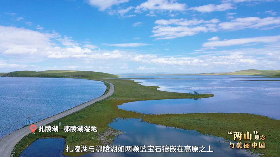 “兩山”理念與美麗中國丨濕地與候鳥，一場歲歲年年的相守