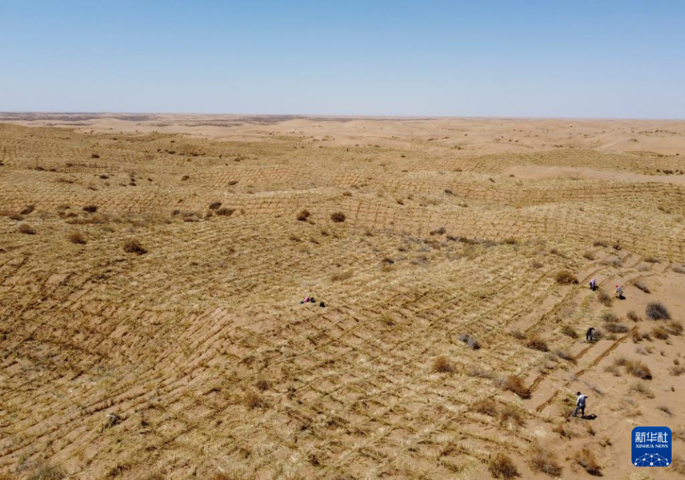 2024年4月10日，群眾在古浪縣八步沙林場麻黃塘沙區(qū)用草方格壓沙。新華社發(fā)（無人機(jī)照片）