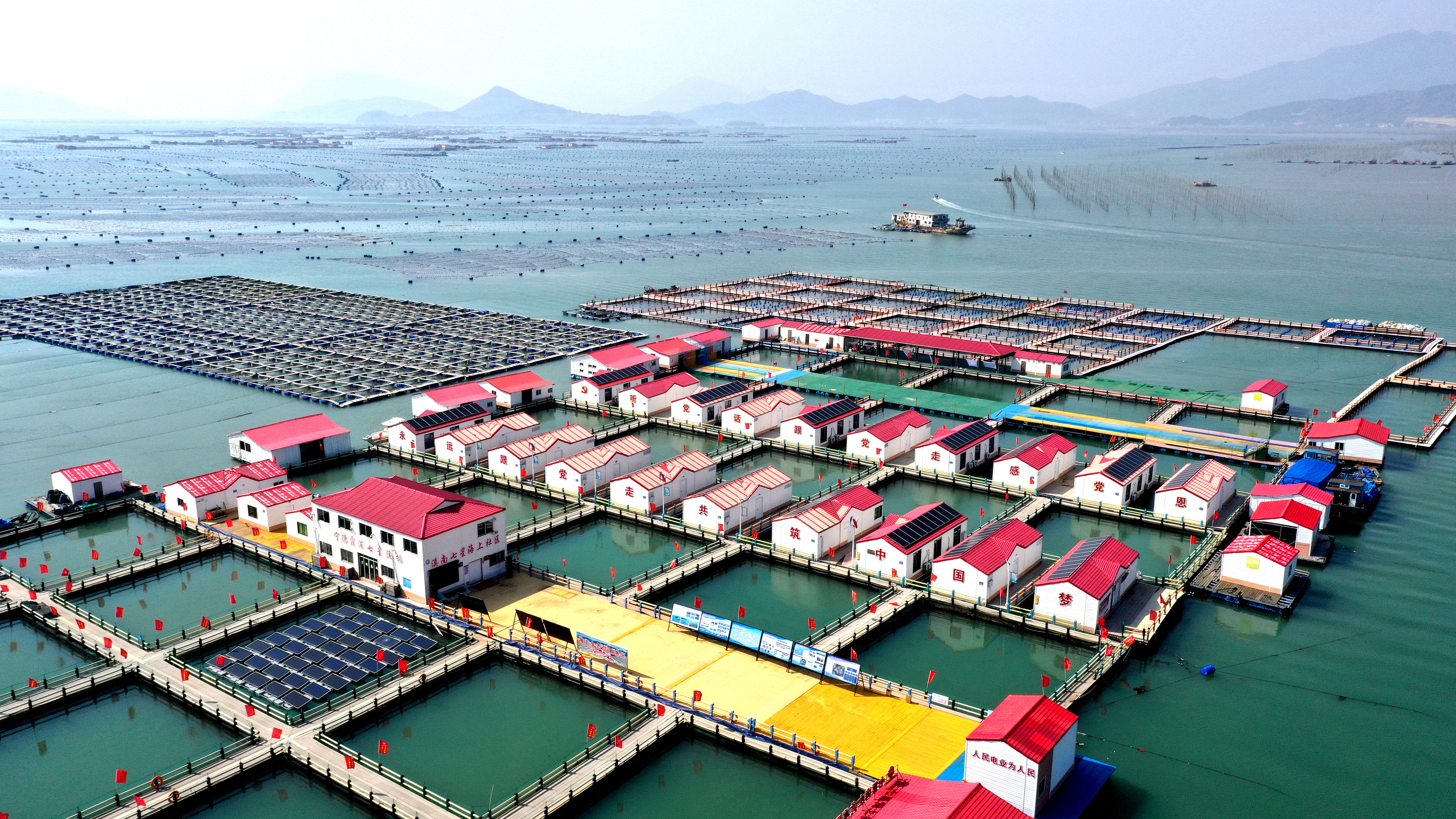 2024年3月20日，福建省寧德市，霞浦縣溪南鎮(zhèn)七星村漁排養(yǎng)殖示范區(qū)，漁民駕駛養(yǎng)殖船進行海參養(yǎng)殖作業(yè)。