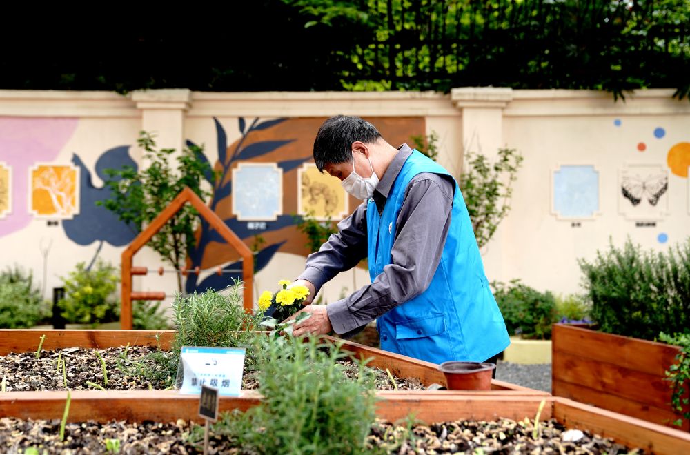 上海市長寧區(qū)虹旭小區(qū)居民在整理改造社區(qū)花園。居民們把堆肥箱里發(fā)酵出來的“綠色材料”和土壤拌在一起鋪在種植箱中（2020年4月22日攝）。新華社記者 張建松 攝