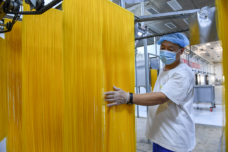 2024年1月25日，在吉林省公主嶺市的一家公司車間，工人查看玉米面條生產(chǎn)情況。