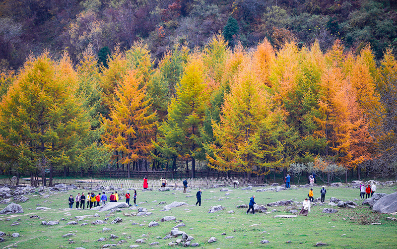 2023年10月27日，深秋時節(jié)的陜西秦嶺太子嶺漫山紅黃、色彩交織，進入最佳觀賞期。