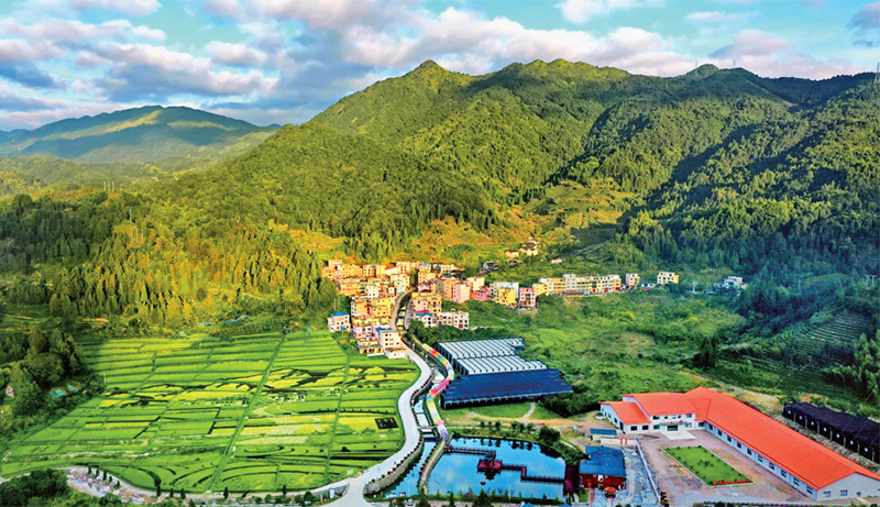 林茂田豐、天藍(lán)水清的“七彩”后洋村。 寧德市委宣傳部供圖 （2023年第24期《求是》雜志刊發(fā)）