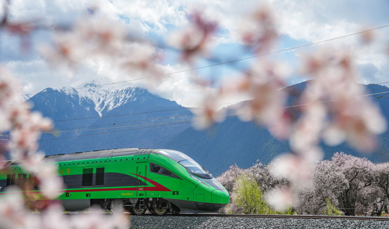 2025年4月2日，復興號列車穿行在拉林鐵路林芝段。