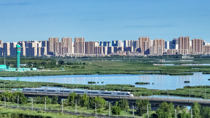 2025年8月17日，一列動車組列車駛過大慶東站。