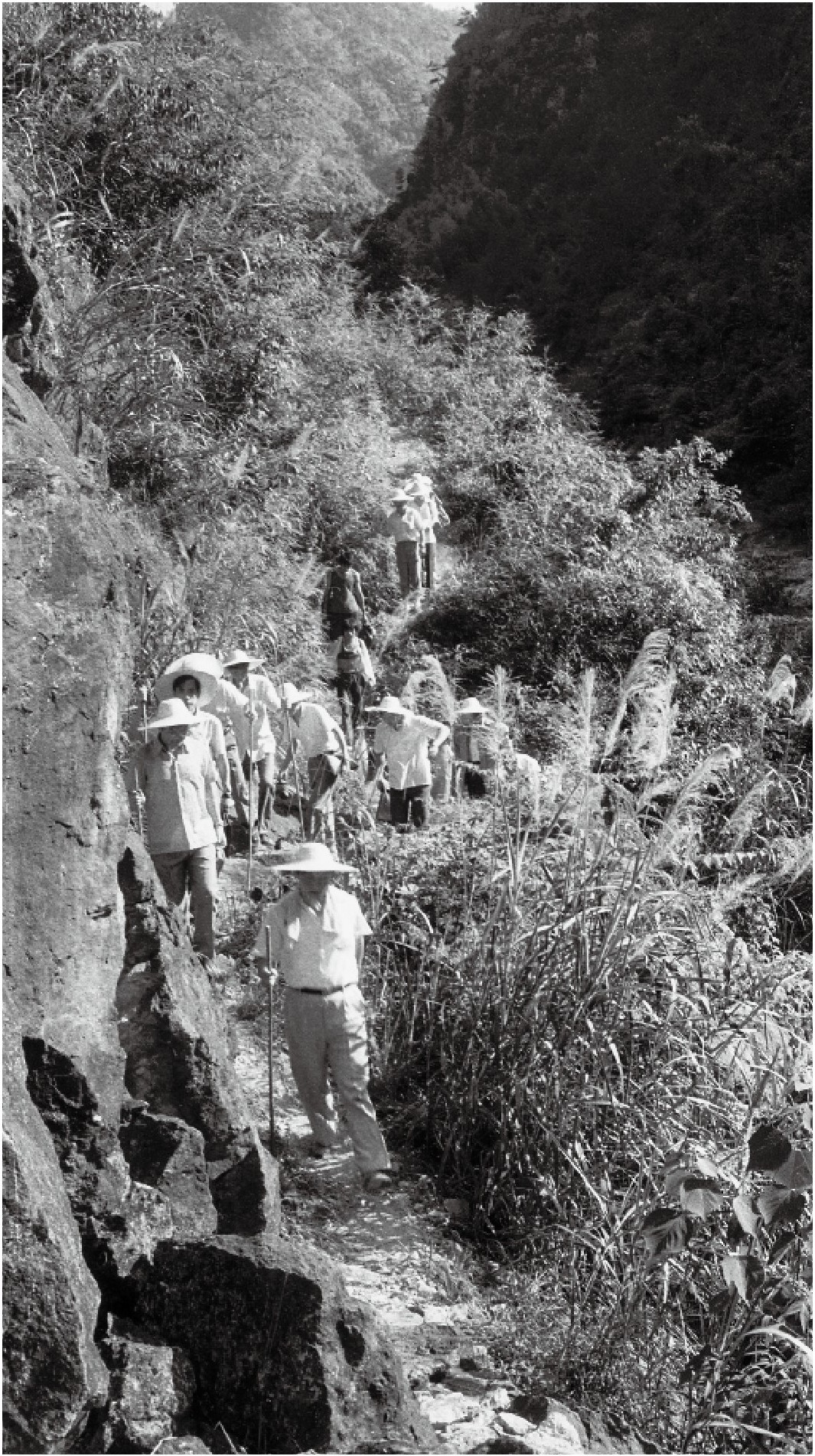 1989年7月，習(xí)近平一行到壽寧縣下黨鄉(xiāng)調(diào)研。