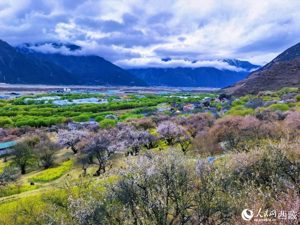 桃花從中的“童話小鎮(zhèn)”。人民網(wǎng) 李海霞攝