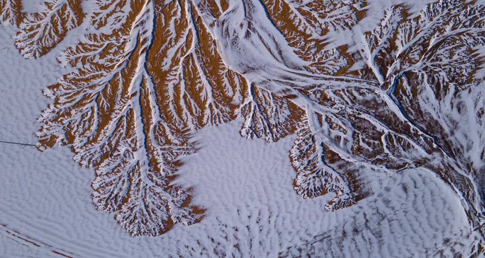 栩栩如生的枝干。邊巴多吉攝