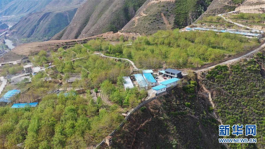 （脫貧攻堅·圖片故事）（2）“90后新農人”的返鄉(xiāng)致富路