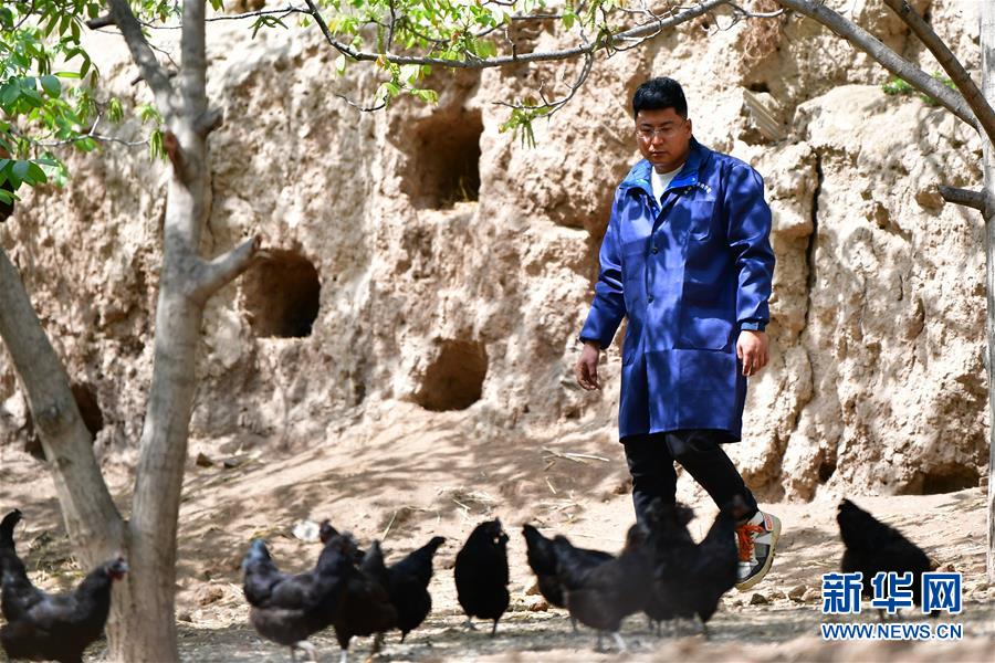 （脫貧攻堅·圖片故事）（5）“90后新農人”的返鄉(xiāng)致富路