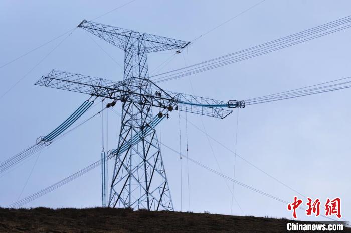 高原藏區(qū)電力線路建設(shè)者：高寒缺氧、扎刺掛彩是常事