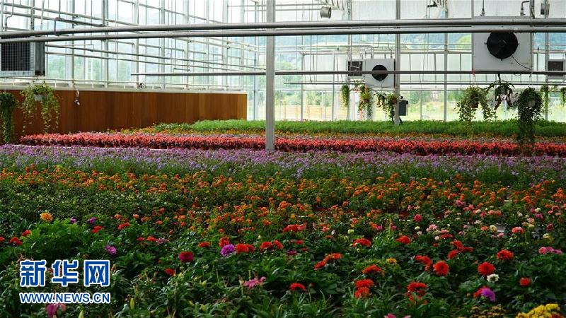 (圖文互動)(3)鮮水河畔的期待