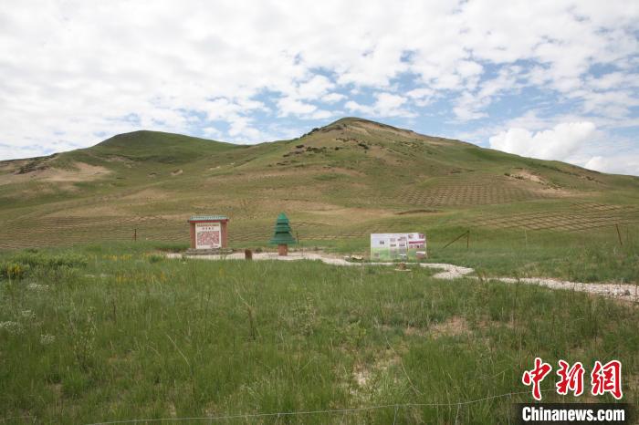 四川省阿壩州若爾蓋縣草原沙化治理后。若爾蓋縣林業(yè)和草原局供圖