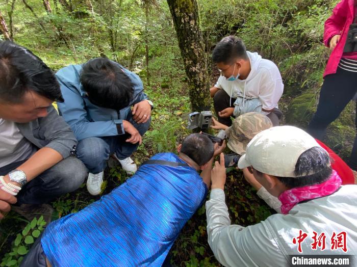 圖為訪客正在查看紅外相機(jī)中的拍攝畫面?！±罱瓕?攝