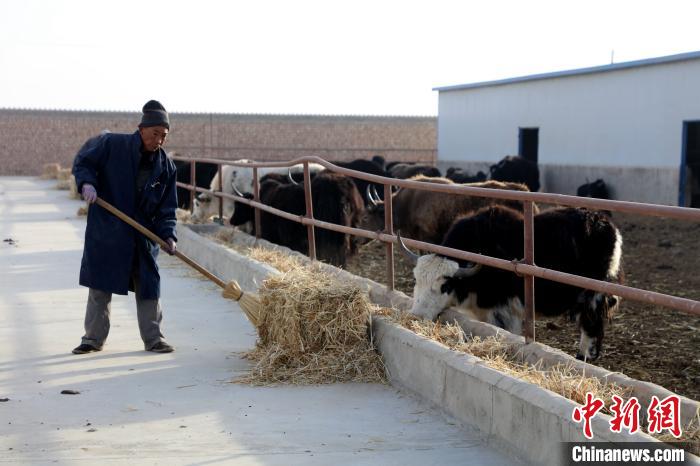 柴達(dá)木盆地蓮湖村：讓致富村民生活“?！逼饋?/></a></div>
                        <div   id=