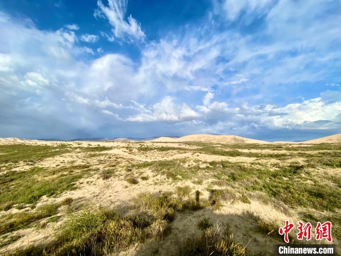 圖為關(guān)停四年后的沙島景區(qū)現(xiàn)狀。　李江寧 攝