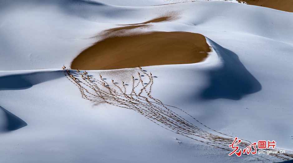 三江源國家公園正式設(shè)立，這是青海生態(tài)文明建設(shè)的新答卷