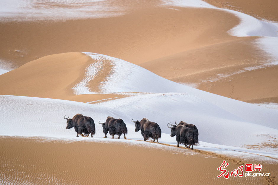 三江源國家公園正式設(shè)立，這是青海生態(tài)文明建設(shè)的新答卷