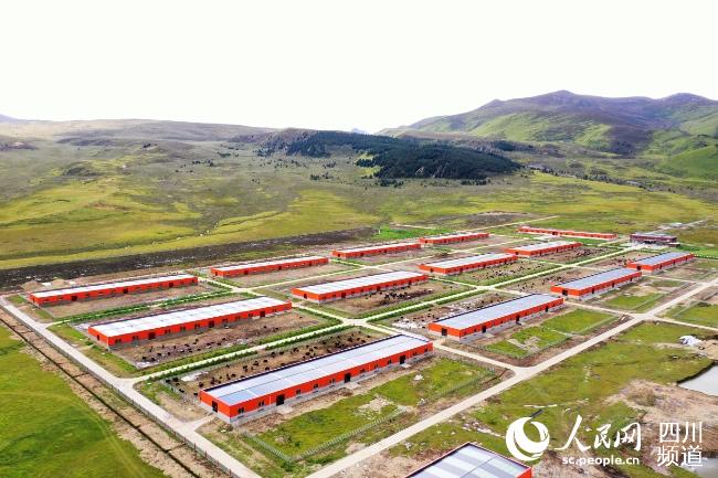 建設中的理塘縣牦牛產業(yè)園。葉強平攝