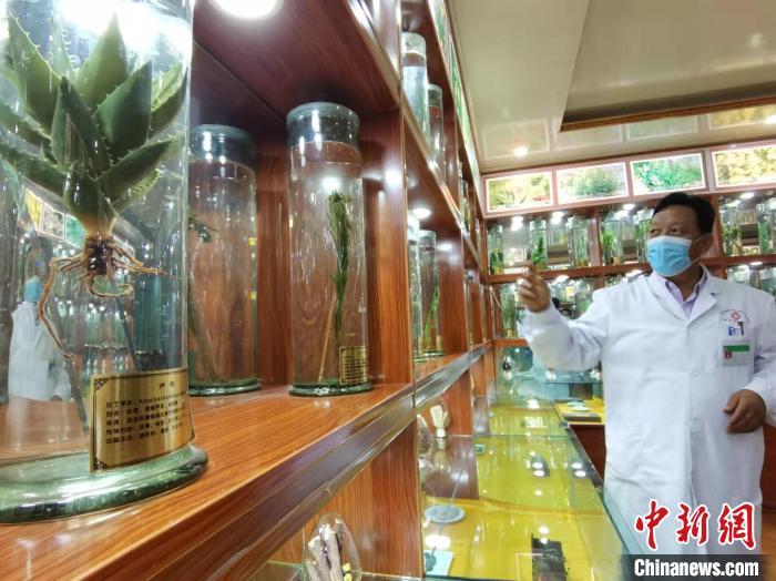 甘肅省甘南藏族自治州碌曲縣藏醫(yī)院副院長看照加近30年的從醫(yī)工作，堅持中藏醫(yī)特色優(yōu)勢相結(jié)合診療方法?！堟?攝