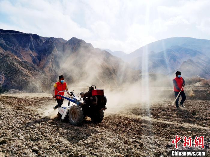 圖為拖拉機(jī)在山地犁地?！?zhí)砀?攝