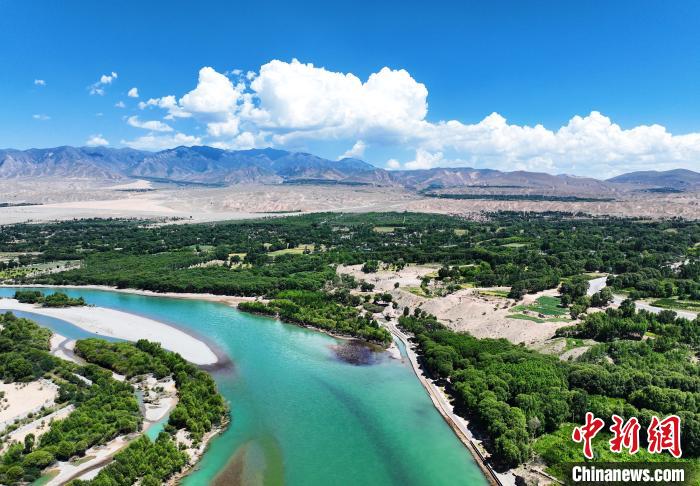 航拍貴德縣黃河岸畔綠意盎然?！●R銘言 攝