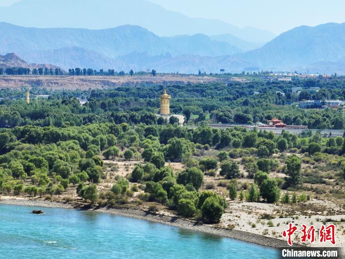 航拍貴德縣黃河岸畔綠意盎然?！●R銘言 攝