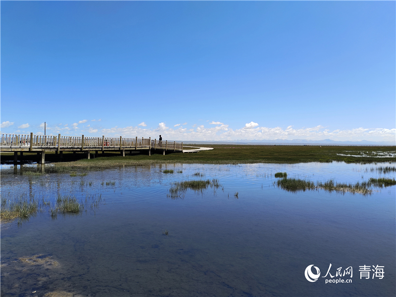   青海湖仙女灣。人民網(wǎng) 張莉萍攝