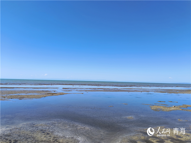   青海湖仙女灣。人民網(wǎng) 張莉萍攝